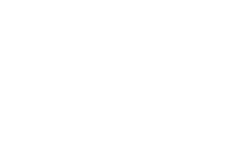 Basketball markets on Paripulse include points, spreads, and total scores.